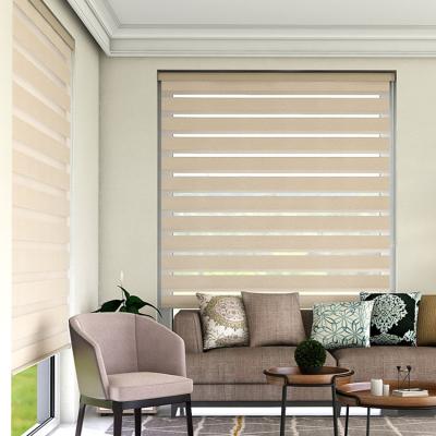 China Manual slat double layer shade indoor window zebra blinds day and night shade double roller blinds for sale