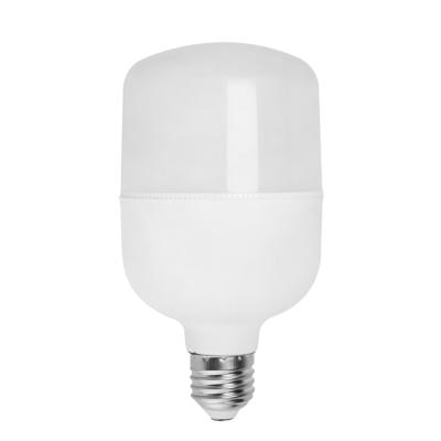 China 2021 Residential Energy Saver T Bulbs E27 Bulbs Tubes Led Led Array Light Materials for sale