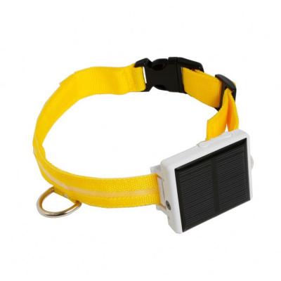 China HANDHELD Solar WiFi GPS Tracker for Poultry, Cow, Pigs, Cattle, Sheep, Horses, Camels Animal for sale