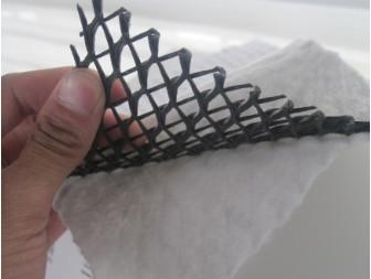 China PP / PET Geotextile 3D HDPE Geocomposite Drainage Net for Filtration for sale