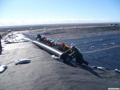 China Polyäthylen mit hoher Dichte Geomembrane-Teich-Zwischenlagen-hoher zerreißender Widerstand zu verkaufen