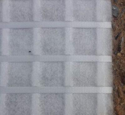 China Schwarzer/weißer Stahldraht Geocomposite mit zusammengesetztem Plastikgeogrid zu verkaufen