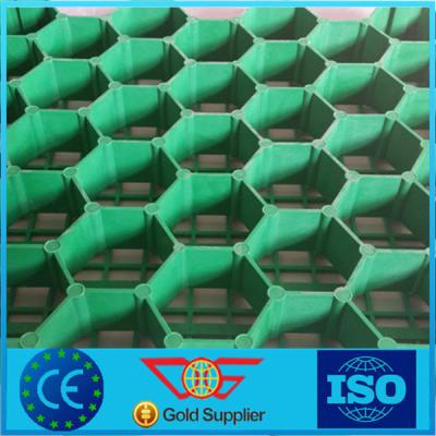 China Pavimentadora 38mm-68m m de la hierba de la buena calidad del plástico PP/HDPE altos en venta