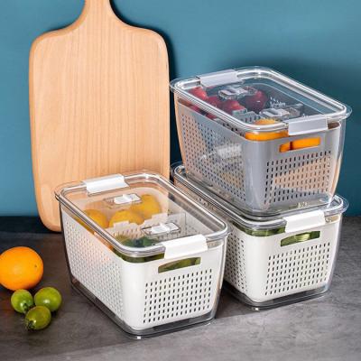 China Sustainable Hot Selling Eco-friendly Plastic Vegetable Storage Boxes Basket Drain Fruit Storage Dish Rack Plastic Baskets With Lid for sale