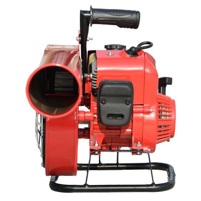 China Portable Wind Extinguisher Gasoline Hair Dryer Snow Blower Gasoline Type 78cc 62cm*36cm*45cm for sale