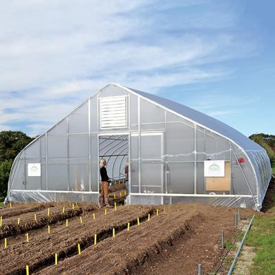 China Stable Structure PE Large Plastic Tunnel Greenhouse For Agriculture / Vegetables for sale