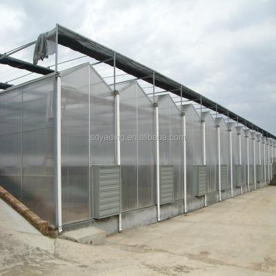 China Vegetable Fruit Flowers Polycarbonate Greenhouse And Used Greenhouse Frames For Sale for sale