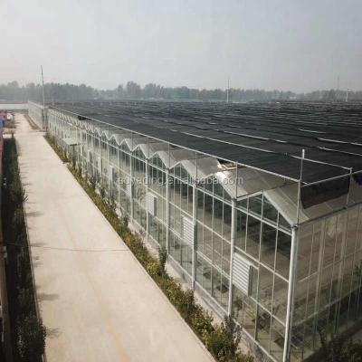 China Used Vegetable Fruit Flowers Glass Greenhouse and Greenhouse Frames for Sale for sale