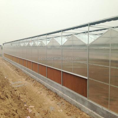 China Stable Structure Easily Assembled Polycarbonate Greenhouse Easily Assembled Cheap Greenhouse for sale