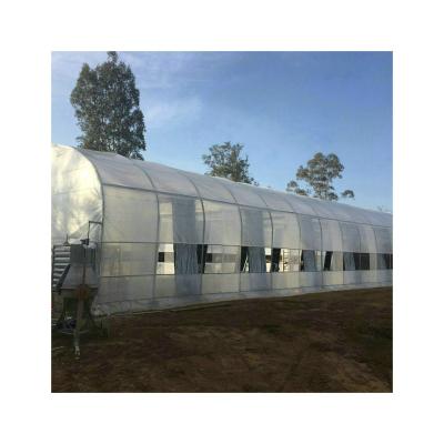 China Stable Lightweight Structure 30x100 Feet Deprivation Greenhouse For Sale In China for sale