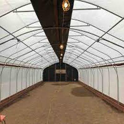 China Stable Structure Plastic Auto Light Greenhouse 100 Ft 30 X Deprivation Greenhouse 100% Light Departments for sale