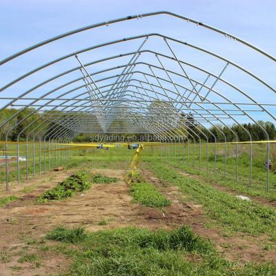 China Vegetable Producing PO Or PE Tunnel Greenhouse Circle Greenhouse Made In China for sale