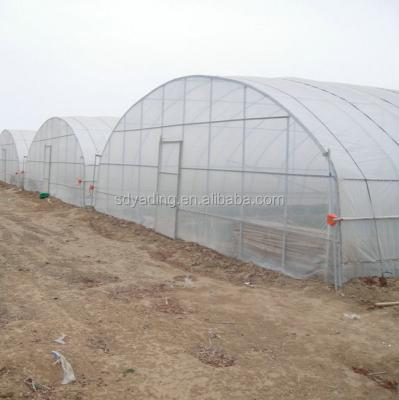 China Vegetable And Fruit Steel Structure Easy Installation Poly Tunnel Greenhouse for sale