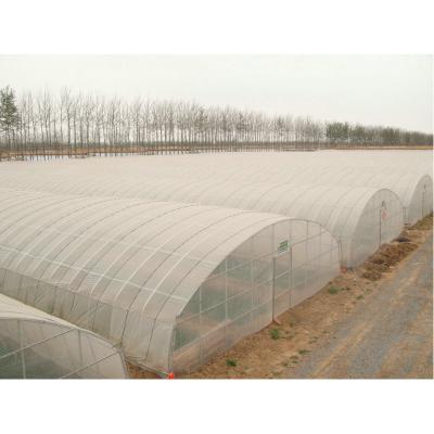 China Stable Structure Easily Assembled Small Size Crawler Tunnel Greenhouse With Cooling System for sale