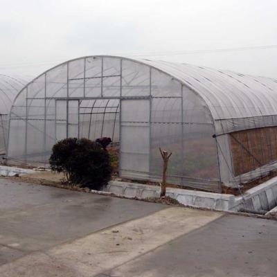 China Plant Growth Tunnel Greenhouse Film UV Poly Protection Plastic Sheet Greenhouse for sale