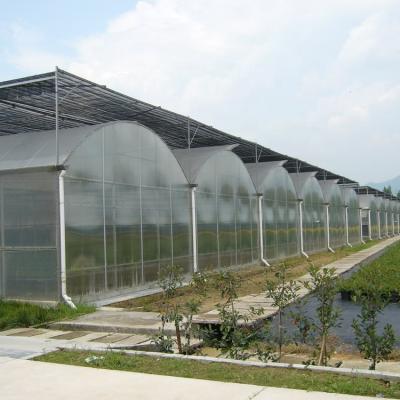 China Plastic film multi-span plastic film agricultural protective agriculatral greenhouse with ventilation for sale