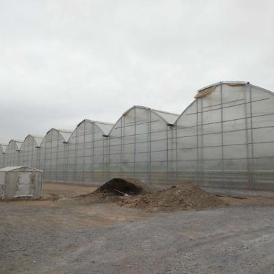 China Stable structure easily assembled low cost agricultural multi-span greenhouse, green plastic film house for sale