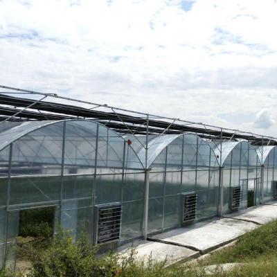 China Stable Structure Easily Assembled 200 Micron PO Film Covering Multi Span Film Greenhouse Agriculture for sale