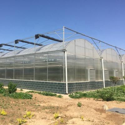 China Agricultural Vegetable Growing Multi-span PE/PE Plastic Film Greenhouse Made In China for sale