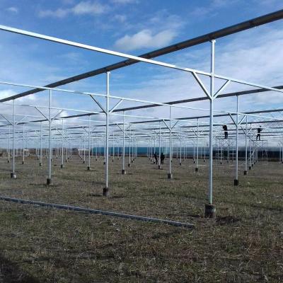 China Stable structure easily assembled multi-span commercial 200 micron greenhouse film for agriculture tomato for sale for sale