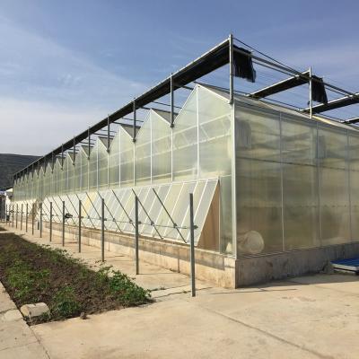 China Stable Structure Easily Assembled Polycarbonate Sheet Greenhouse For Tomato Cucumber Lettuce Pepper Planting for sale