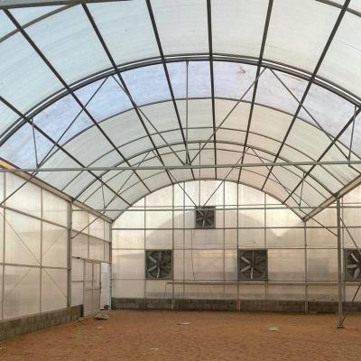 China Planting Vegetable Agriculture Greenhouse Polycarbonate Sheet Solar Greenhouse for sale