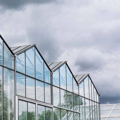 China Stable structure galvanized venlo greenhouse insulated tempered glass greenhouse for sale