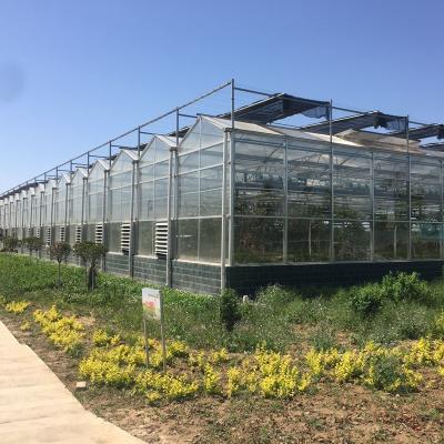 China Stable Structure Smart Multi-span Clear Glass Greenhouse Equipped Ebb And Flood System Growing Greenhouse for sale