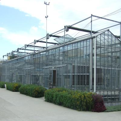 China Stable Structure Commercial Greenhouse Hot Sale Commercial Glass Greenhouse for sale