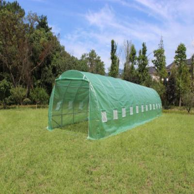 China Hot Sale PE Tarpaulin Garden Greenhouse Household Small Portable Easily Assembled Walkway for sale