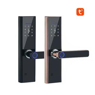 China 251 Fingerprint Lock Electronic Door Lock With Tuya TTT Security Smart Remote Control Safe Door Lock for sale