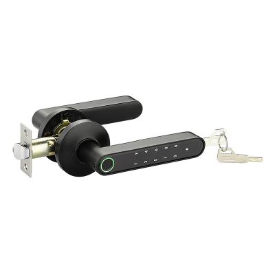 China 40group Handle Electronic Indoor Biometric Fingerprint Password Security Anti-theft Digital Lever Lock for sale