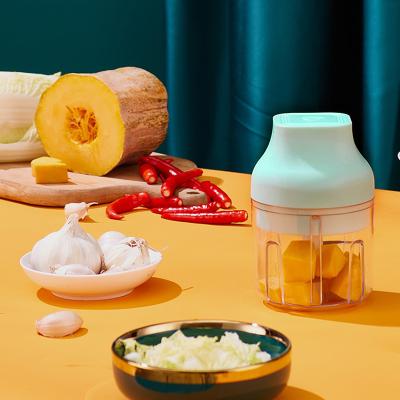 China Modern Professional Supplier Mini Food Garlic Processor Electric Portable Chopper for sale