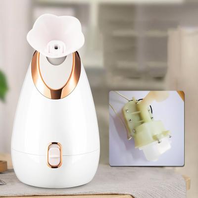 China Mini Portable Skin Care Nano Moisturizer Mister Facial Sprayer Mist Sprayer Nano Jet Beauty Mist Sprayer for sale