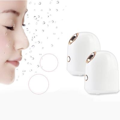 China Best Popular Moisturizer Price Top Quality Product Household Hydrator Face Humidifier Face Steamer for sale