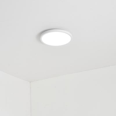 China Modern Flush Mount Ceiling Light, LED Ceiling Light, 3000K 9W, Round Ceiling Lamp for Kitchen, Bedroom, Hallway, Stairwell for sale