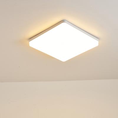 China 90LM New Product 2021 IP33 36w LED Outdoor Mounted Ceiling Light Square for sale