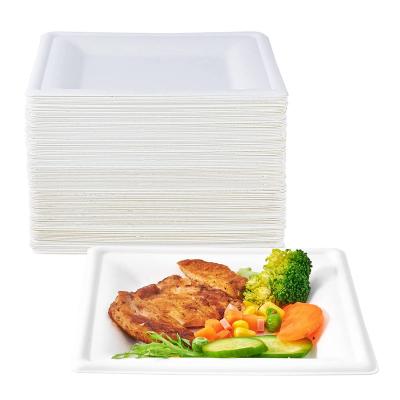 China Compostable Biodegradable White 10 6 Place Dinnerware Biodegradable Disposable Paper 8 Inch Christmas Dish Bagasses Pulp Tray Dish Tableware for sale