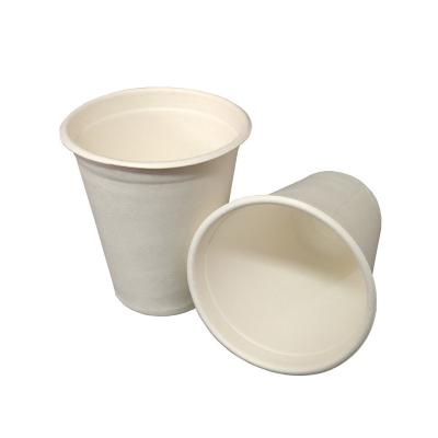 China 8oz Bagasse Paper Cup Minimalist Compostable Disposable Degradable Degradable Coffee Paper Cup for sale