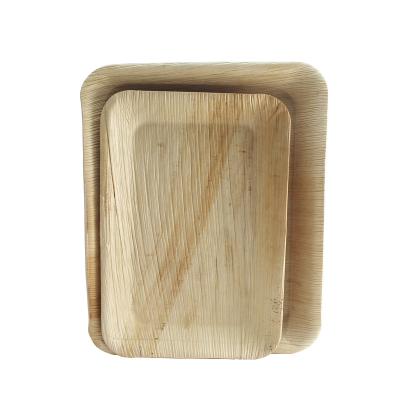 China Biodegradable 6 Inch * 9 Inch Large Rectangle Platters Universal Disposable Palm Leaf Platters Compostable Dishes Dishes for sale