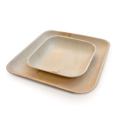 China Sturdy 25pcs Tableware Biodegradable Set Disposable Disposable Dishes 100% Bamboo Compostable Biodegradable Palm Leaf Dishes For Party for sale