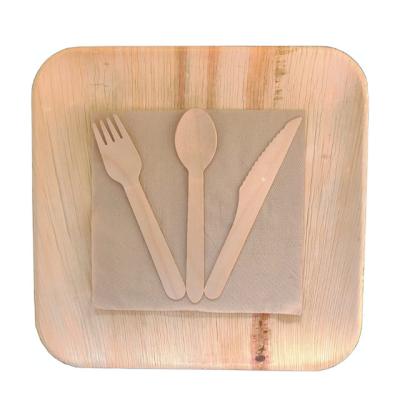 China Minimalist disposable tableware palm leaf dish with cutlery fork knife and spoon for sale