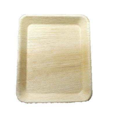 China Natural Minimalist All 8*10 Rectangle Palm Leaf Dishes (25 PACKS) Compostable for sale