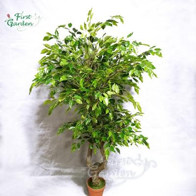 China New Turtle Plant Leaf Willow Japanese Wedding Glass Trunk Home Decoration Potted Modern Artificial Cherry Blossoms for sale