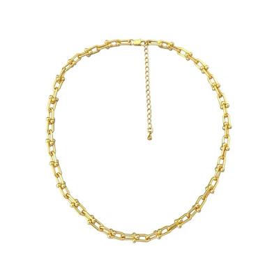 China Retro New Titanium 2021 Hip Necklace Chain Trendy Female Steel Horseshoe Hops Thick Chain Color Preserving Necklace Jewelry for sale