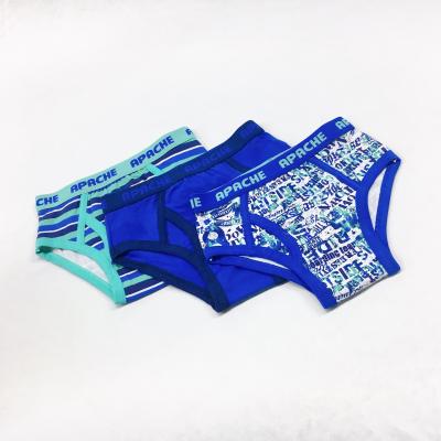 China Viable Hot Sales Kids Briefs Cartoon Underwear Custom Design Little Boy Cotton Boxer For Kids Boy for sale