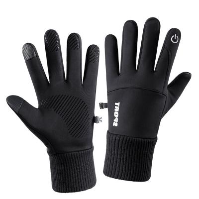 China Custom Made Popular Mountaineering Waterproof Cycling Sport Touch Screen Waterproof Outdoor Warm Winter Ski Gloves for sale