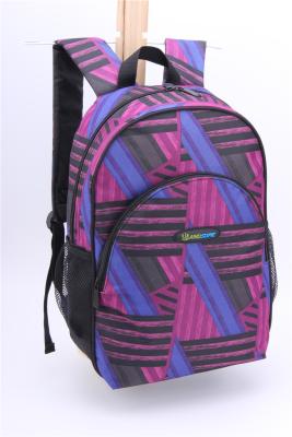 China Personalized Girls Day Polyester Backpack Purple Double Shoulder For Work for sale