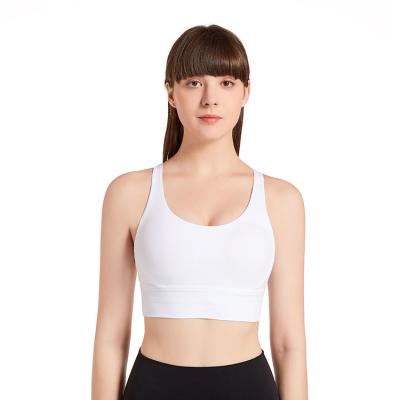 China New Breathable Women Shape Strap Wholesale High Quality Sexy Breathable Fabric Fitness Gym Workout Cropped Belly Button Sports Bra for sale