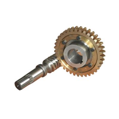 China Hotels Quality Assurance Best Custom Processing Stainless Steel Worm Gear for sale